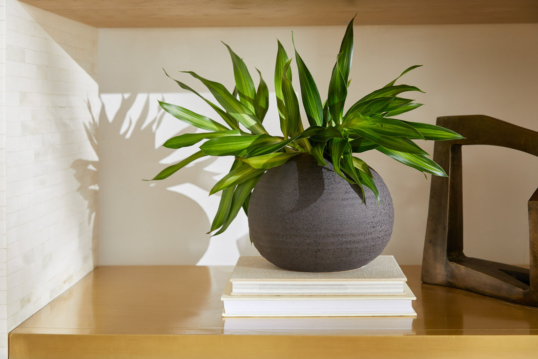 Perennial Vase | Black - Small