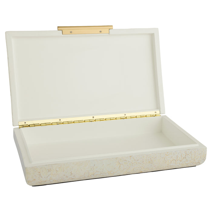 Celestial Box | Eggshell | Brass - Medium