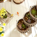Quorum Home Cyan - 05099 - Planter - Antique White