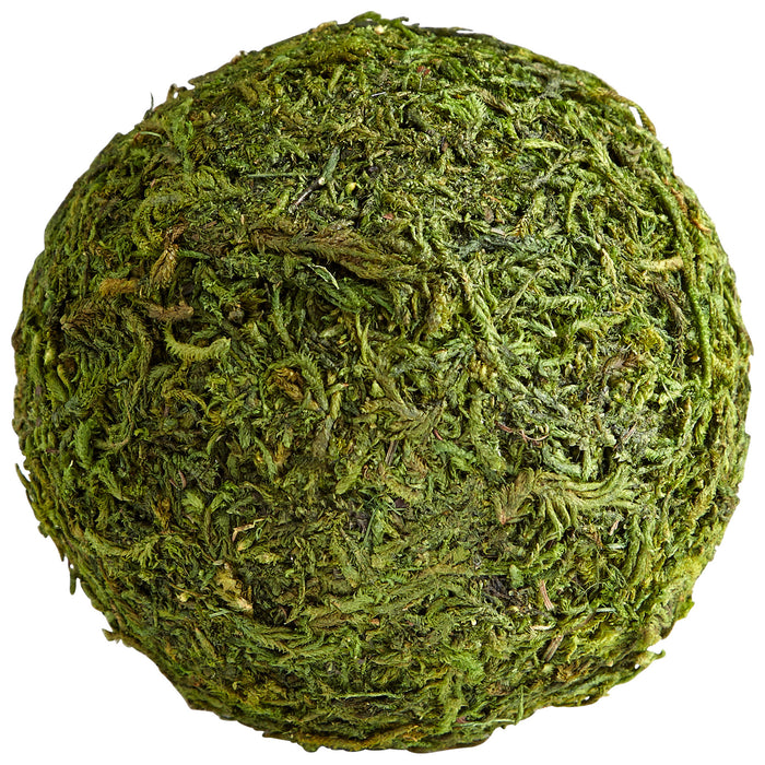 Quorum Home Cyan - 07298 - Filler - Green Moss