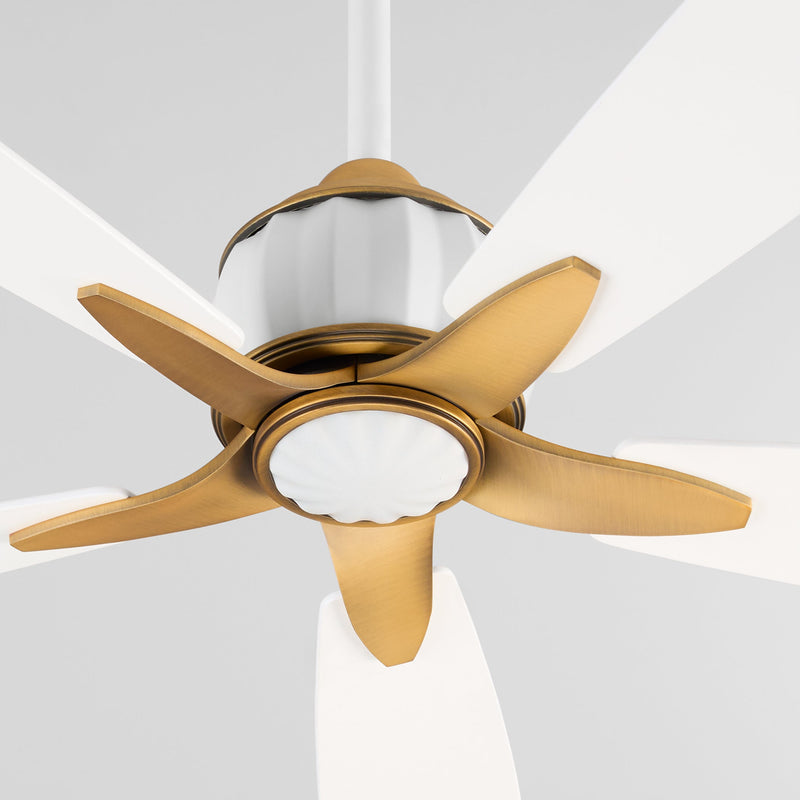 OPHELIA 60" 5CCT FAN - SW/BRB