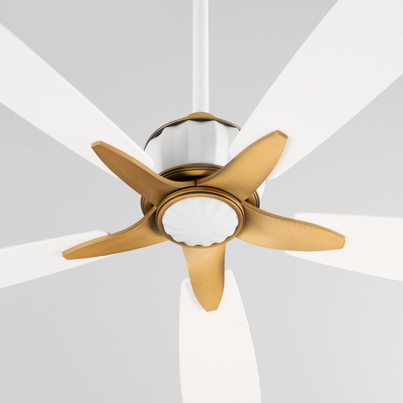 OPHELIA 60" 5CCT FAN - SW/BRB