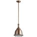 Quorum Home Oxygen - 3-6202-25 - LED Pendant - Satin Copper