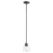 Quorum Home Quorum - 3060-69 - One Light Pendant - Textured Black