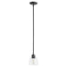 Quorum Home Quorum - 3060-69 - One Light Pendant - Textured Black