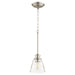 Quorum Home Quorum - 309-65 - One Light Pendant - Satin Nickel