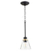 Quorum Home Quorum - 309-69 - One Light Pendant - Textured Black