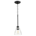 Quorum Home Quorum - 309-69 - One Light Pendant - Textured Black