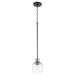 Quorum Home Quorum - 310-6965 - One Light Pendant - Textured Black w/ Satin Nickel