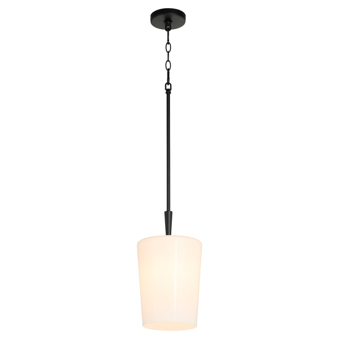 Goodwin 8" Pendant W/ Opal - Matte Black