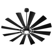 Quorum - 46012-59