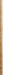 Quorum - 6-2460 | Img 1