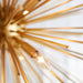 Quorum Home Quorum - 600-8-74 - Eight Light Pendant - Gold Leaf