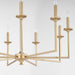 Quorum Home Quorum - 6005-9-80 - Nine Light Chandelier - Aged Brass