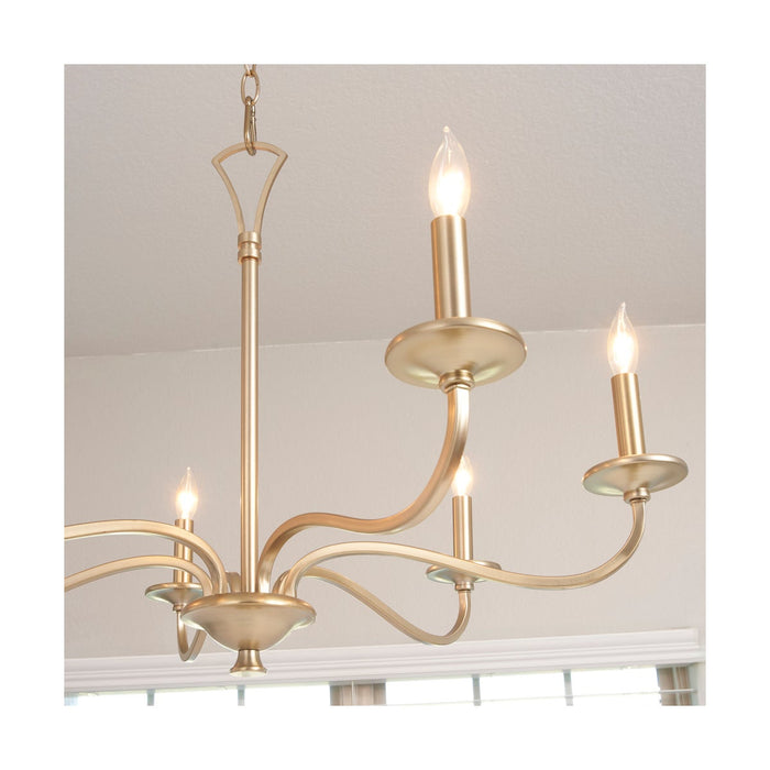 MARYSE 6 Light Chandelier - Aged Brass