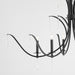 Quorum Home Quorum - 620-6-59 - Six Light Chandelier - Matte Black