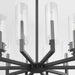 Quorum Home Quorum - 6277-10-69 - Ten Light Chandelier - Textured Black