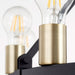 Quorum Home Quorum - 64-16-6980 - 16 Light Chandelier - Textured Black w/ Aged Brass