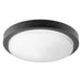 Quorum Home Quorum - 8-208-59 - LED Fan Light Kit - Matte Black