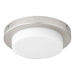 Quorum Home Quorum - 8-356-65 - LED Fan Light Kit - Satin Nickel