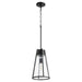 Quorum Home Quorum - 826-69 - One Light Pendant - Textured Black w/ Clear