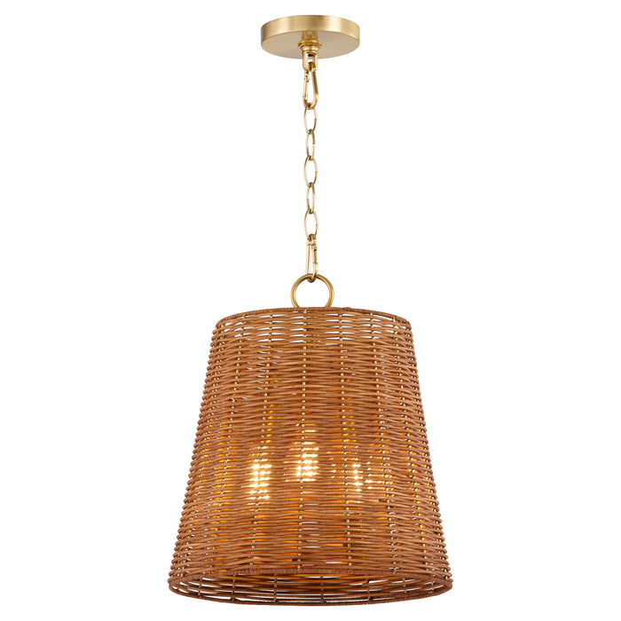 Quorum Home Quorum - 8893-13-80 - Three Light Pendant - Aged Brass