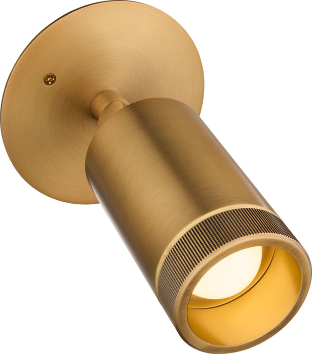 AKOLA 1 Light 5CCT LED Bullet - Brushed Brass