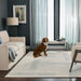 Sachin Gray Ivory Geometric - N2001 - 8' x 11'