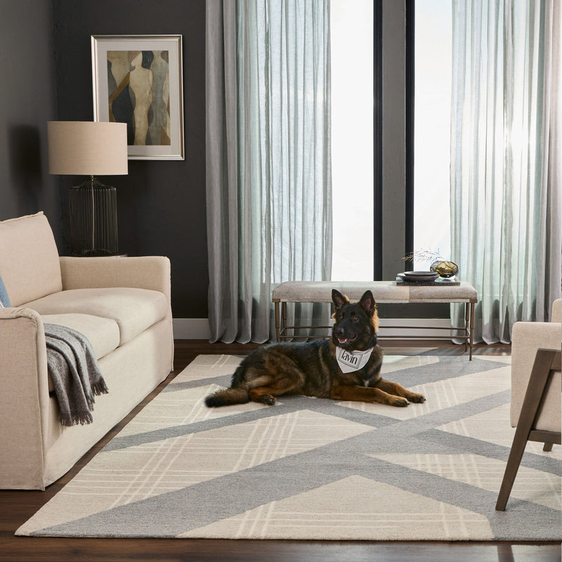 Sachin Gray Ivory Geometric - N2002 - 5' x 8'
