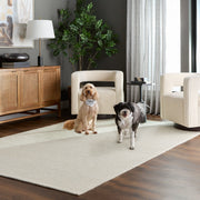 Brinda Ivory Monochromatic - N3001 - 10' x 13'