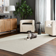 Brinda Ivory Monochromatic - N3001 - 5' x 8'