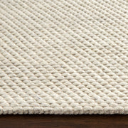 Brinda Ivory Monochromatic - N3001 - 5' x 8'
