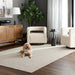 Brinda Ivory Monochromatic - N3003 - 7' x 9'