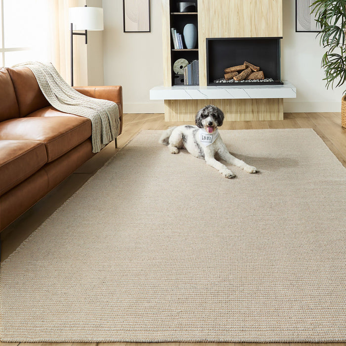 Saira Beige Monochromatic - N3005 - 8' x 11'