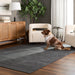 Kiran Black Monochromatic - N4006 - 5' x 8'