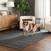 Kiran Black Monochromatic - N4006 - 5' x 8'
