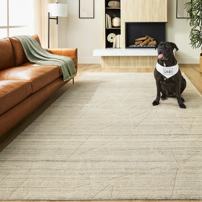 Kirti Beige Geometric - N6002 - 2' x 3'