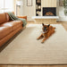 Kirti Ivory Geometric - N6005 - 8' x 11'