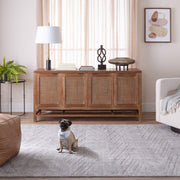 Pari Gray Chevron Herringbone - N6006 - 5' x 8'