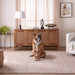 Pari Beige Stripe - N6007 - 5' x 8'