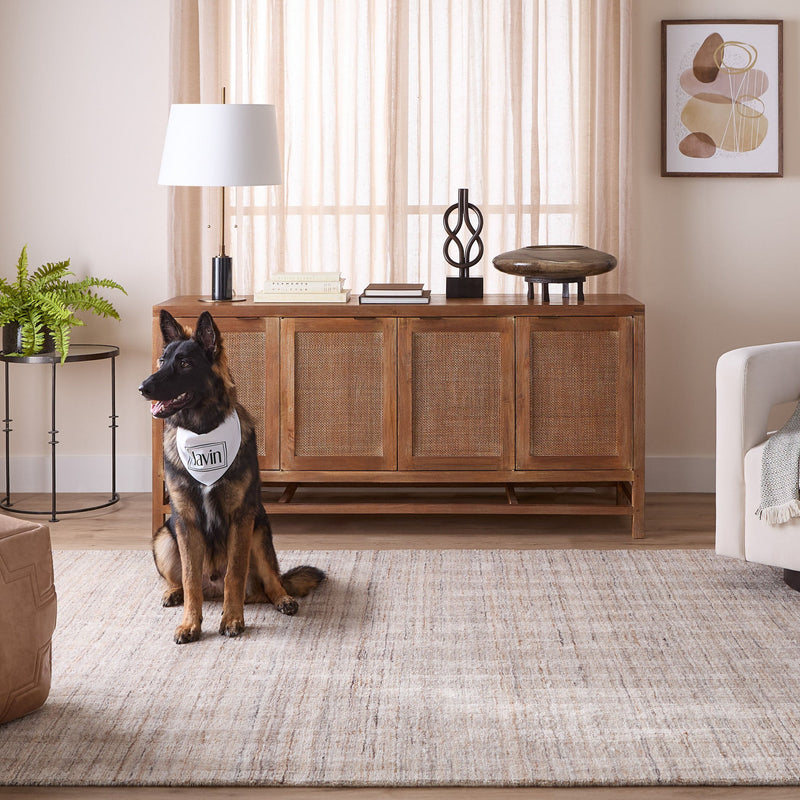 Pari Brown Stripe - N6008 - 5' x 8'
