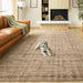Pari Brown Stripe - N6009 - 5' x 8'