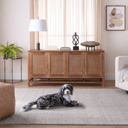 Riya Gray Linear - N6033 - 5' x 8'