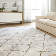 Adara Gray Geometric - T2006 - 5' x 8'
