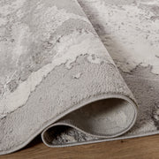 Ayda Gray Painterly - T9006 - 2' x 3'