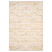 Rienz Beige Monochromatic - U7012 - 5' x 8'